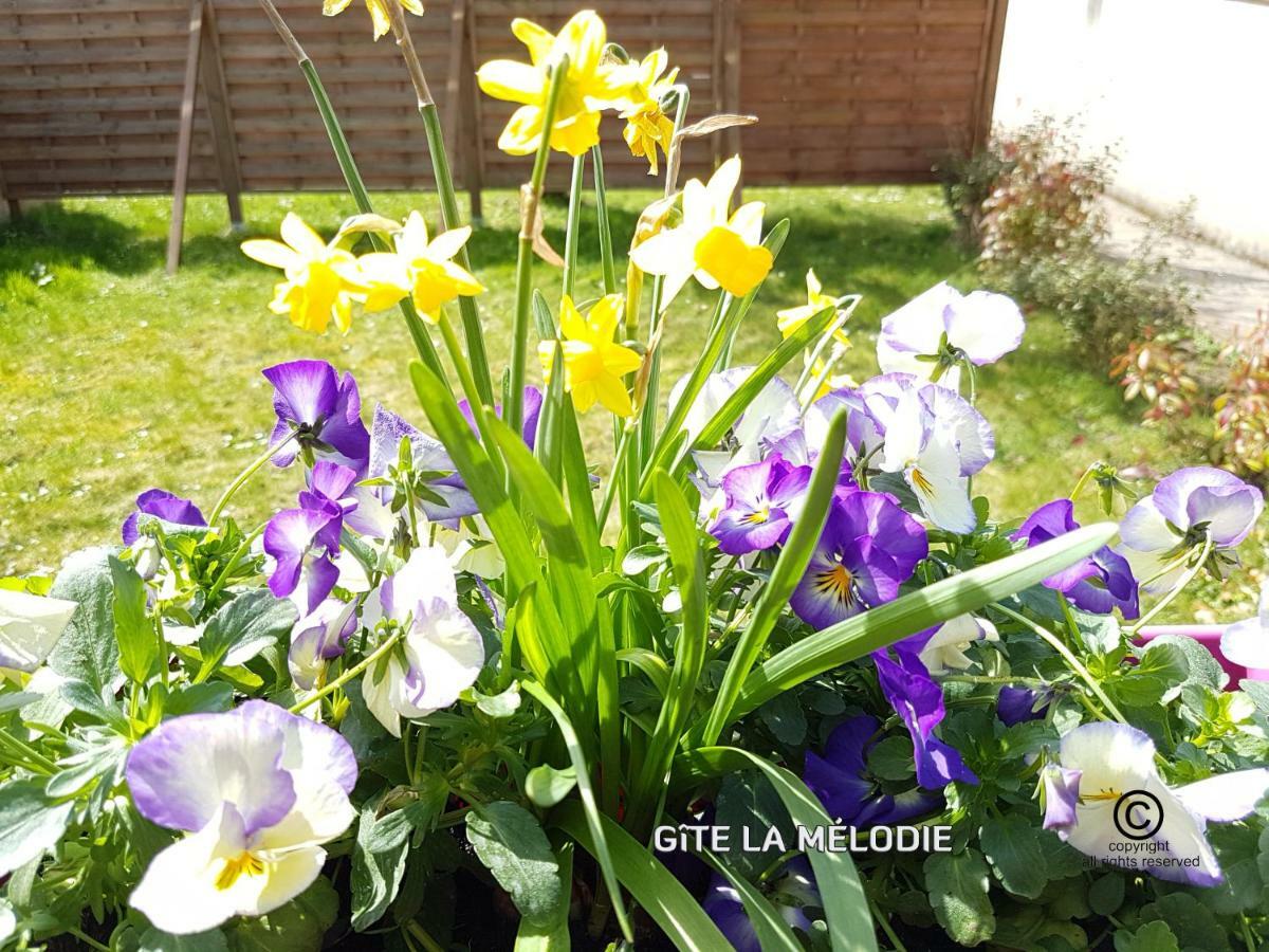 Gite La Melodie Longueville  Exteriör bild
