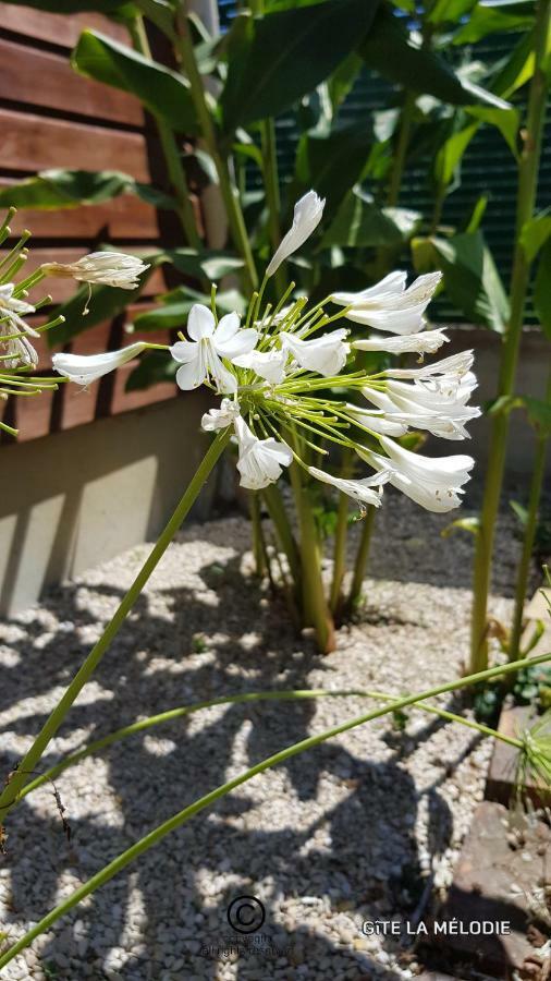 Gite La Melodie Longueville  Exteriör bild